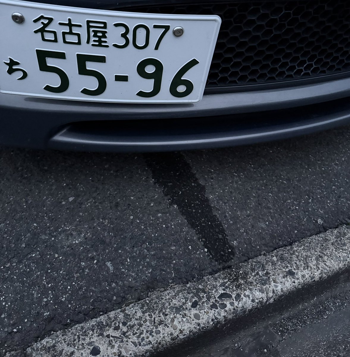 Muchiko🌙🪼☁️ tweet media