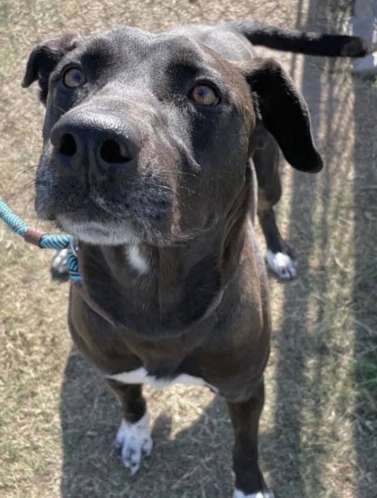 Olwyn Hope tweet media