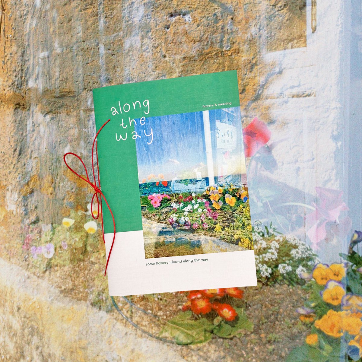 soooocereal tweet media