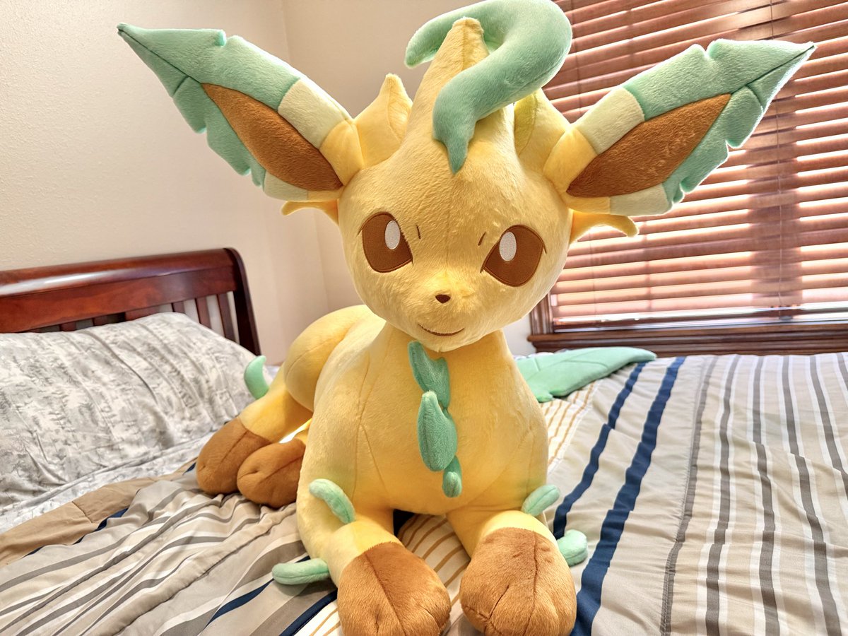 シンダリッテン tweet media