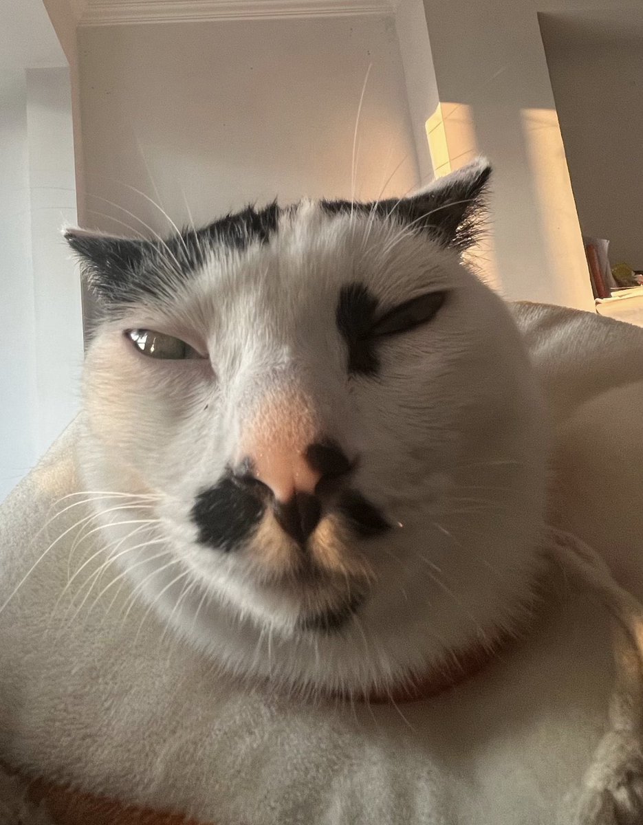 gugugaga tweet media