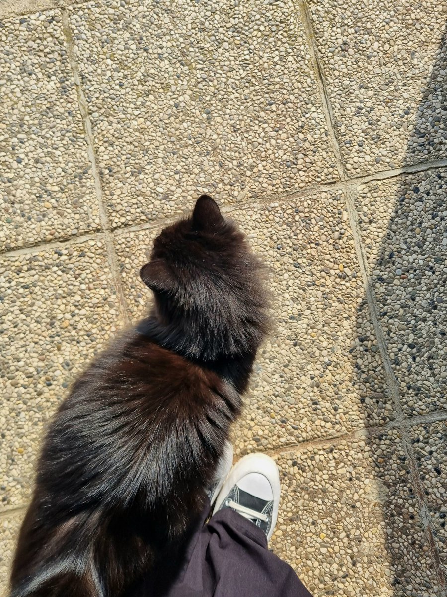 eva 🌿💗 tweet media