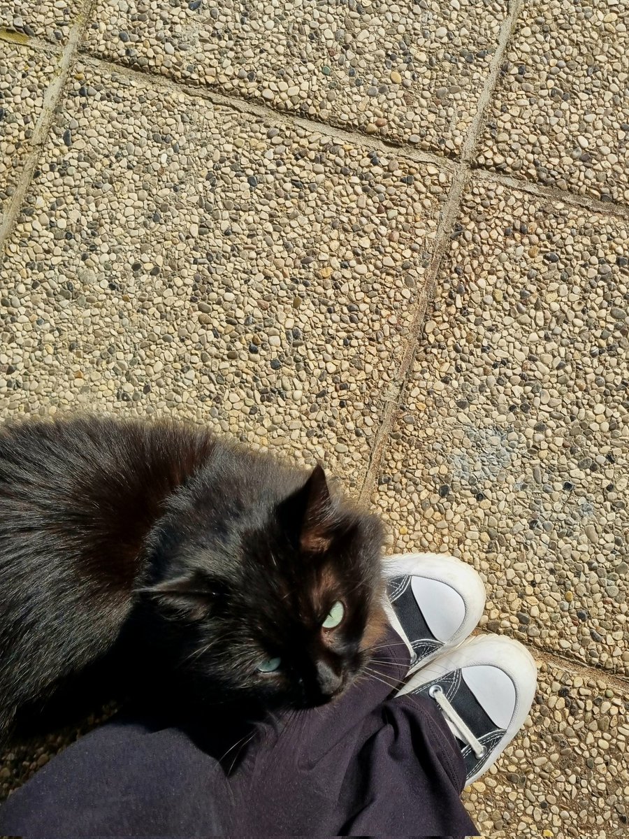 eva 🌿💗 tweet media