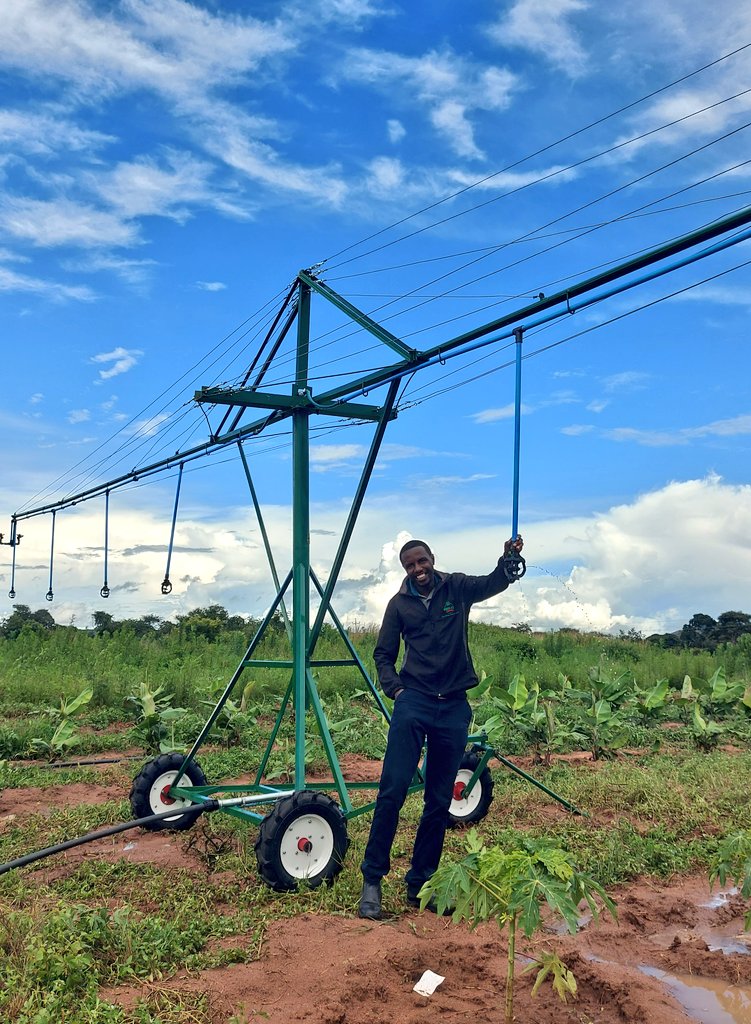 Mudumenwemari..Int'l tweet media