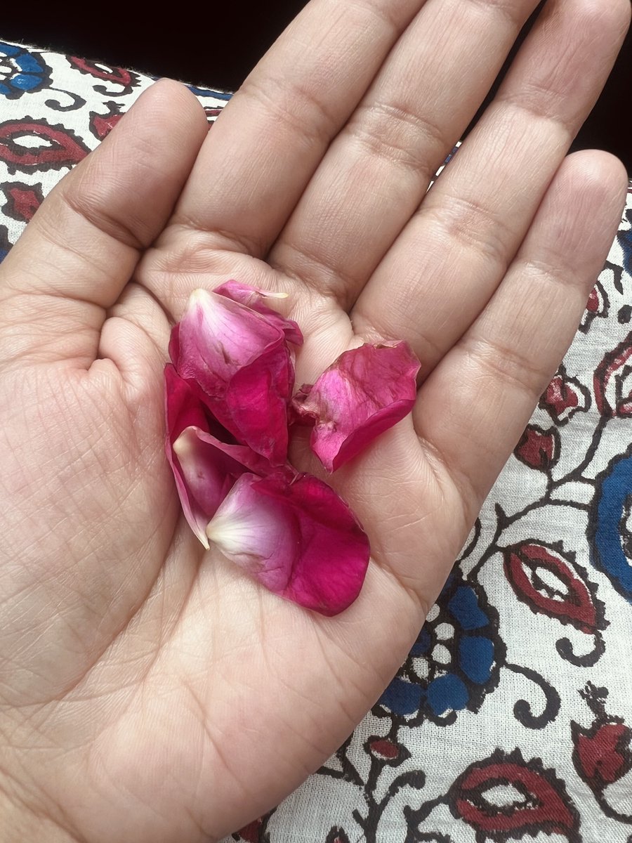 Faiza Murad tweet media