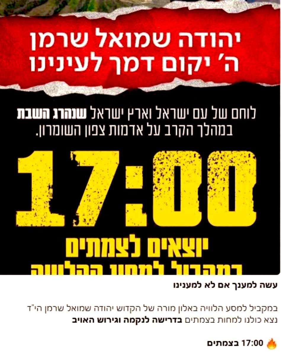 אבי דבוש tweet media