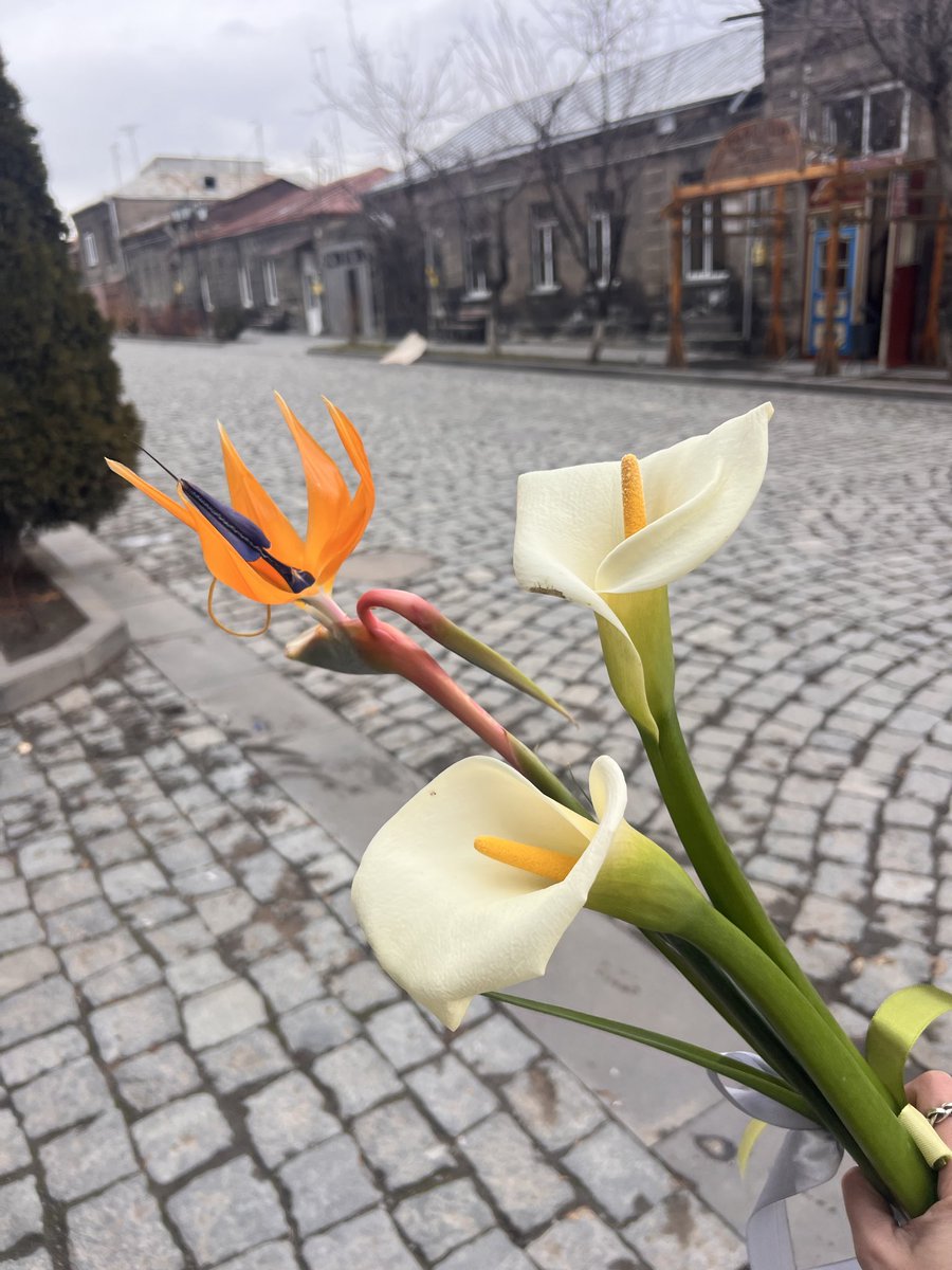 ravens in the library tweet media