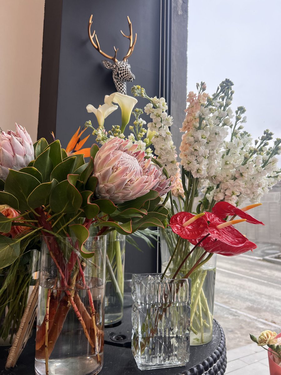 ravens in the library tweet media