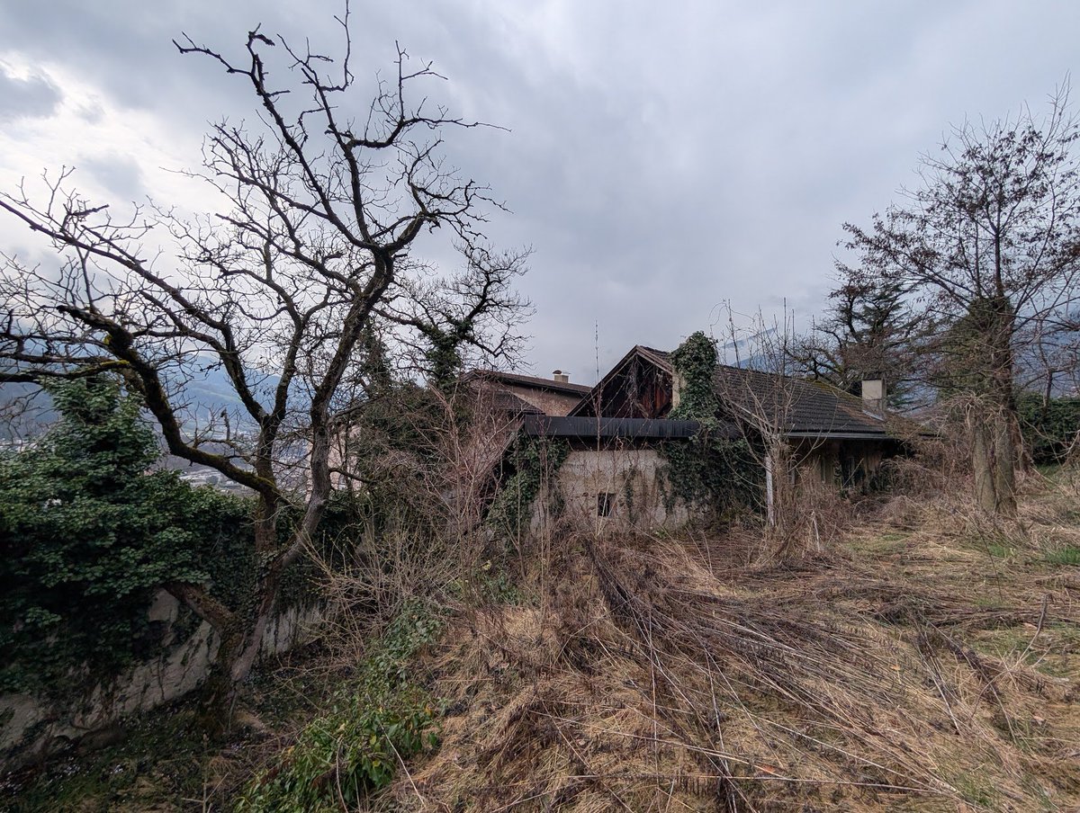 Pescegatti tweet media