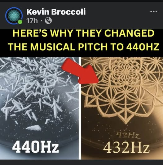 FLAT EARTH LIBRARY tweet media