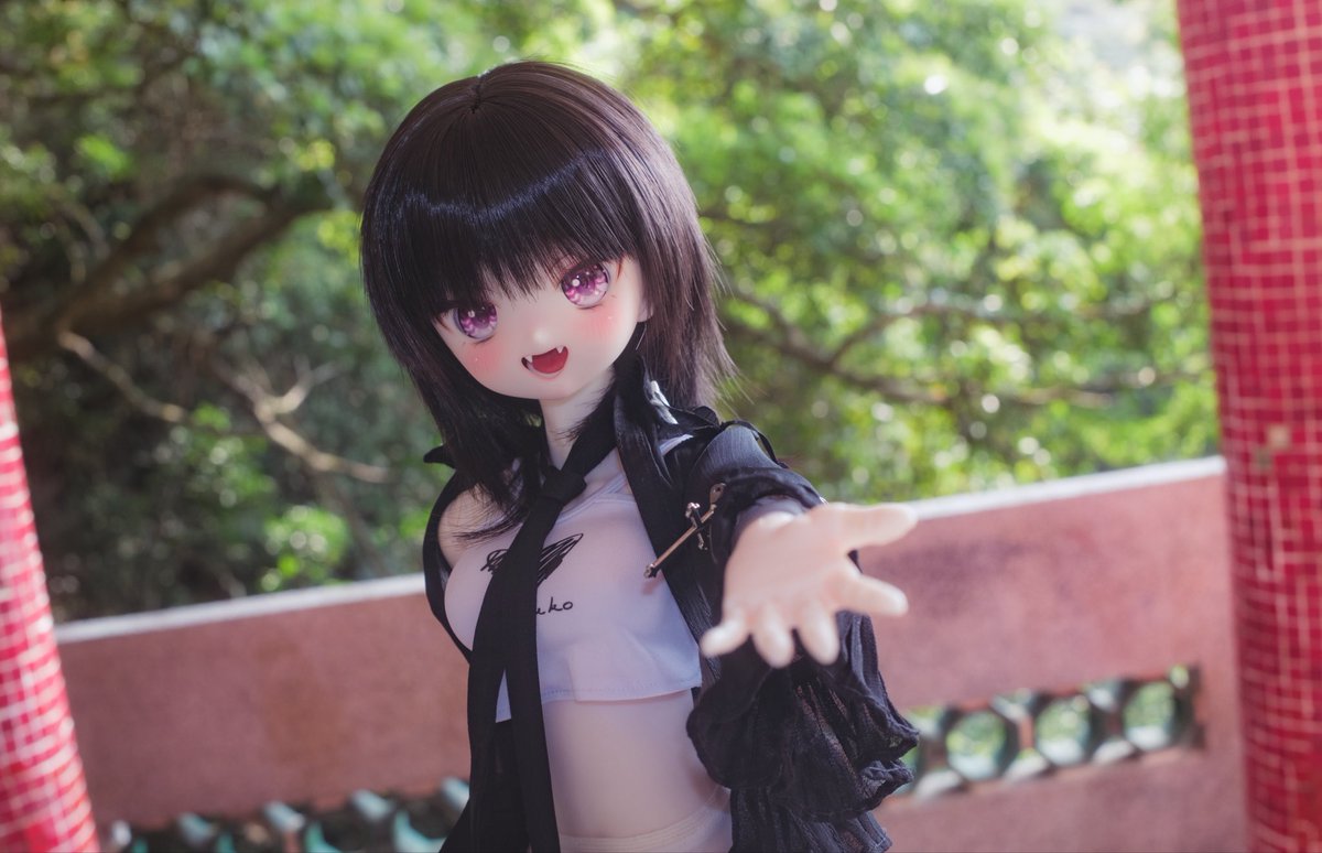 シーク tweet media