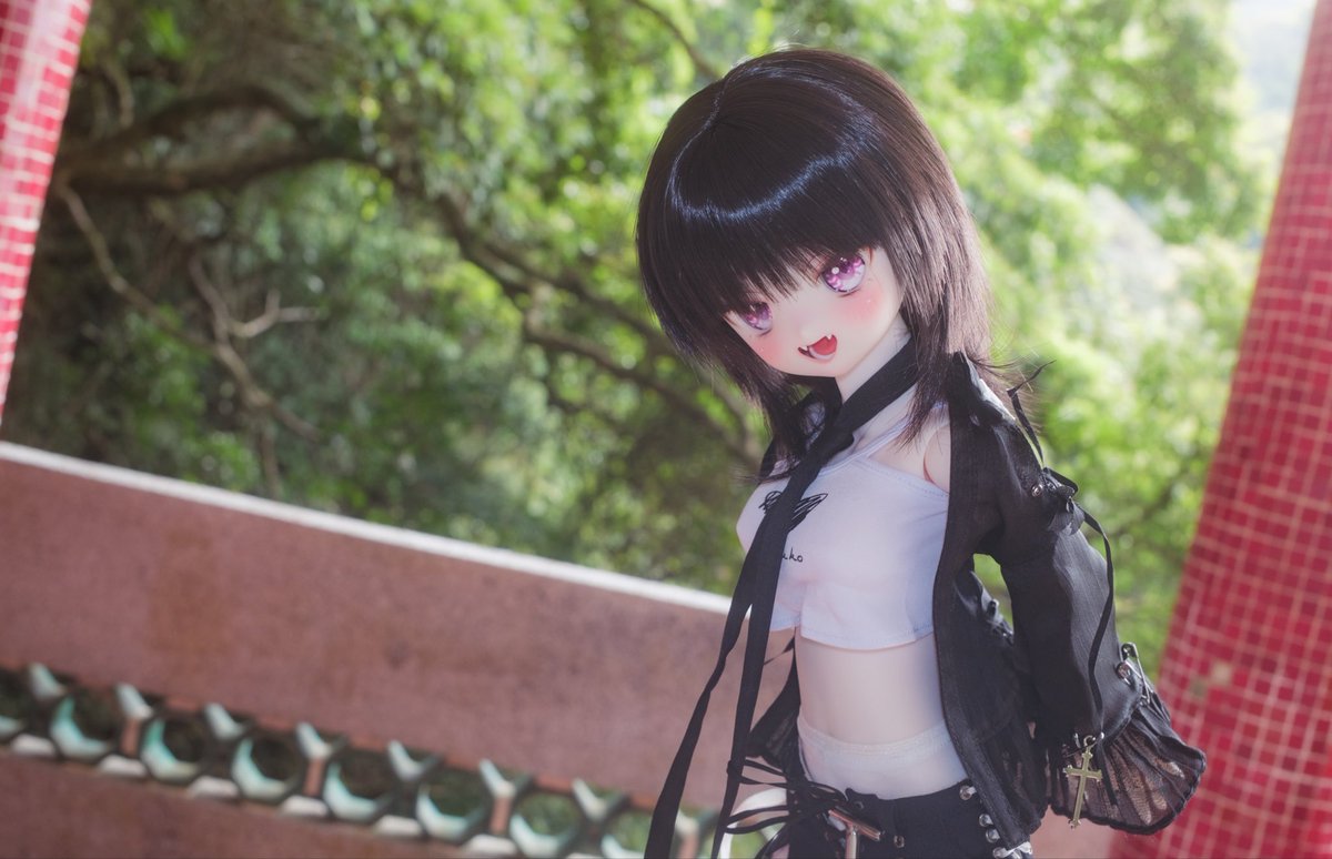 シーク tweet media