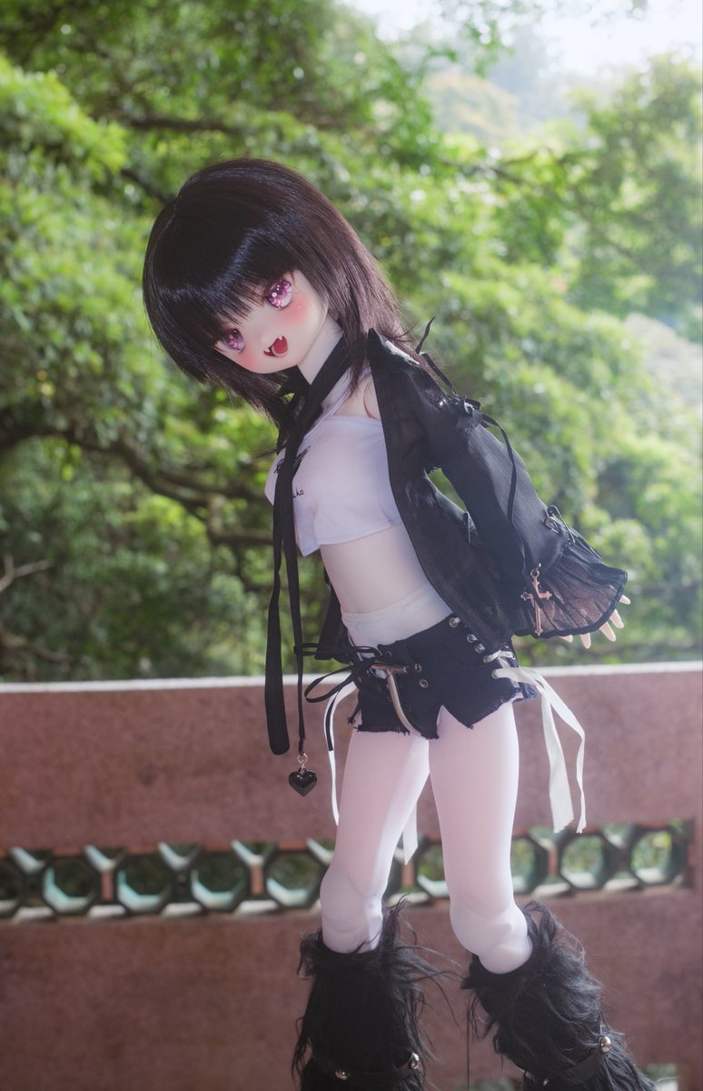 シーク tweet media