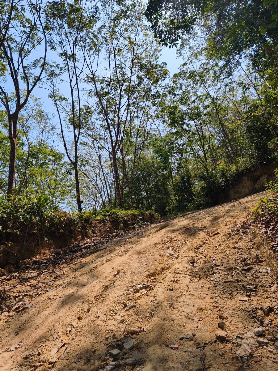 ailadear tweet media