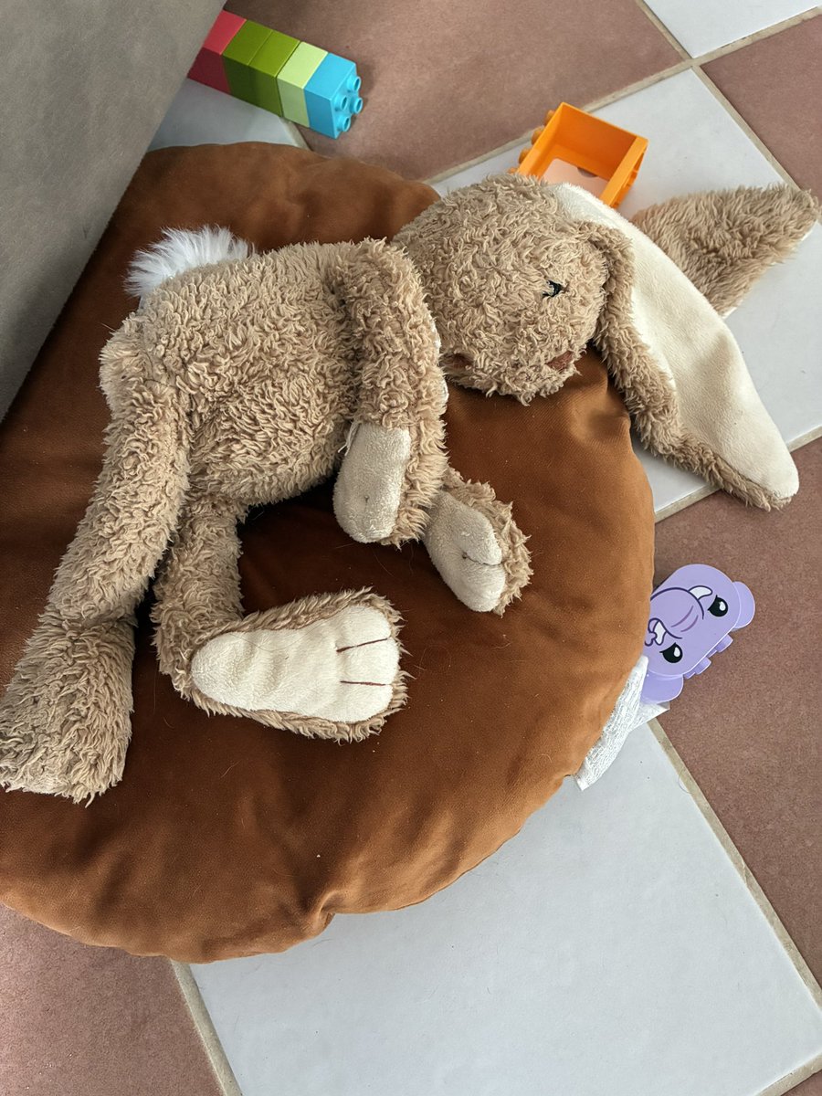 SignoraSax tweet media