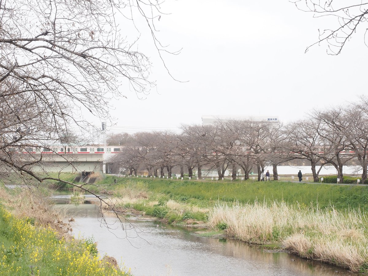 take@イベント参加メインで活動します。多忙のためスタジオのお誘いはお受けしていません。 tweet media