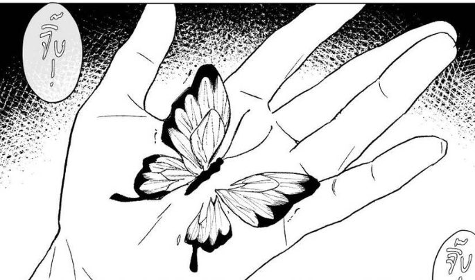 มะม้าว tweet media