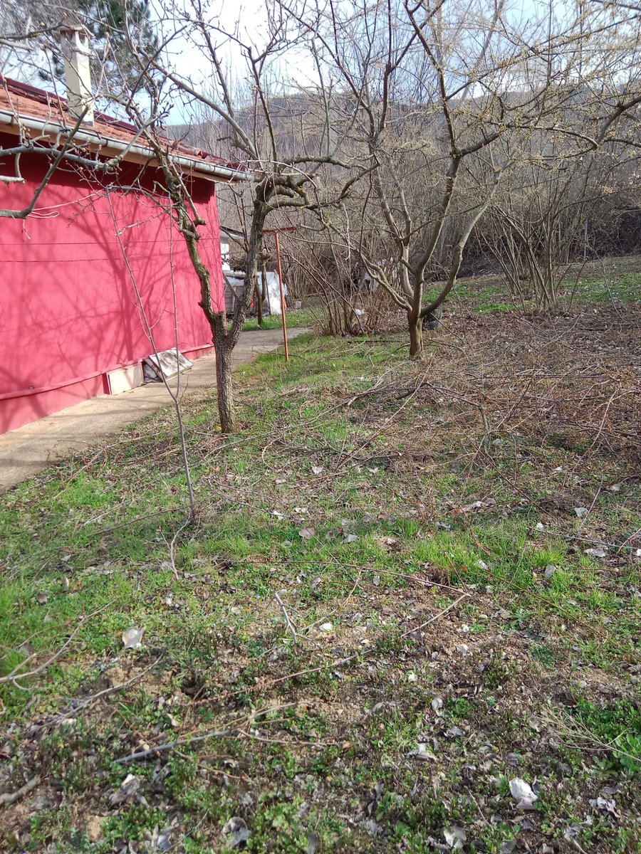 Köydeki bahçemizde ağaçlar asmalar ve güller bulandı umarım bu yaz meyve yiyebiliriz. 
Budamayı yapan Evrim kardeşimin ellerine sağlık.👍👏