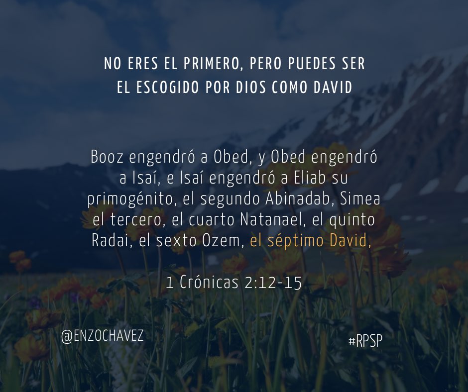 2 Crónicas 2
Dios escribe su historia con los menos esperados. David no era el mayor, pero fue el escogido, y de su linaje vino Jesús. No te desanimes si no te ven o vas detrás. Cuando Dios te llama, tu turno llega. El cielo no mira posiciones, mira corazones dispuestos. #rpsp