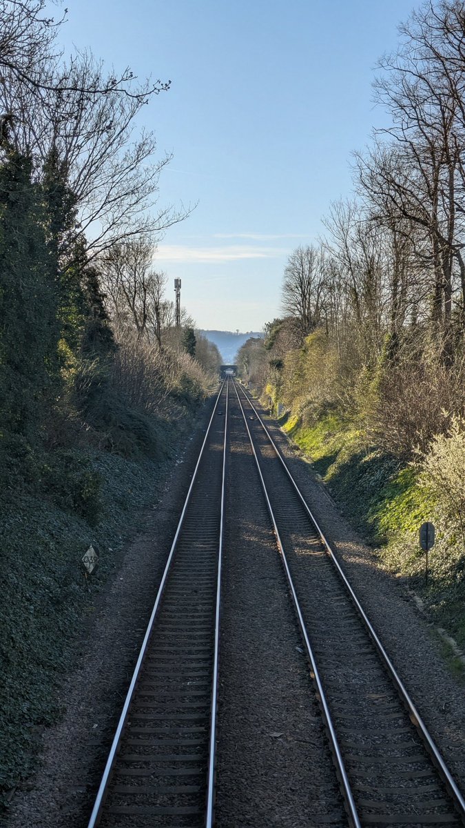 The Right Track tweet media