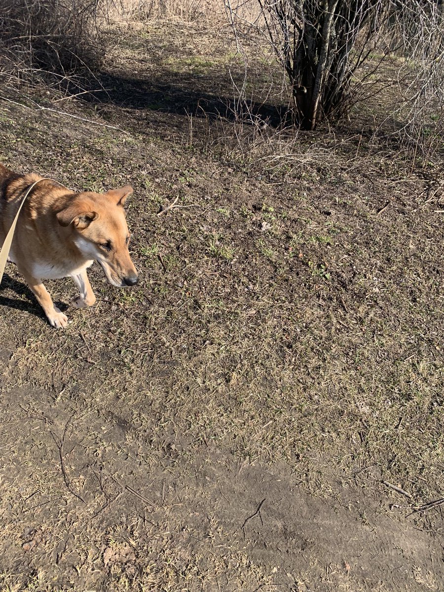 Marcella Smyth, Ambassador of Ireland to Latvia tweet media