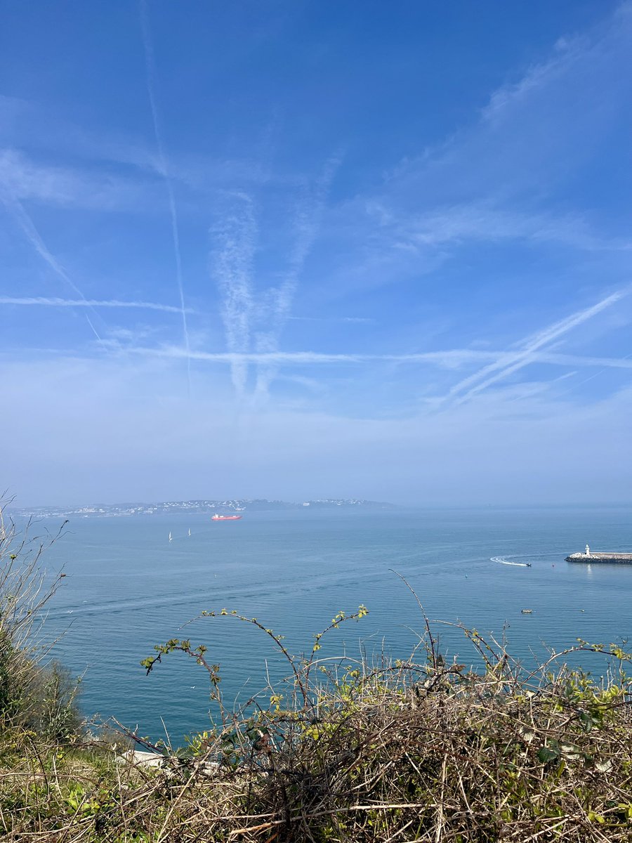 Me&ThePlasticSea tweet media