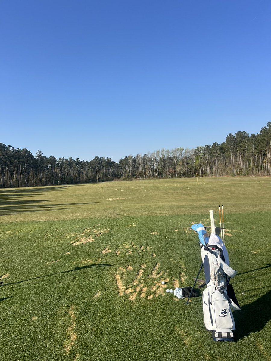 Gayfield LLC tweet media