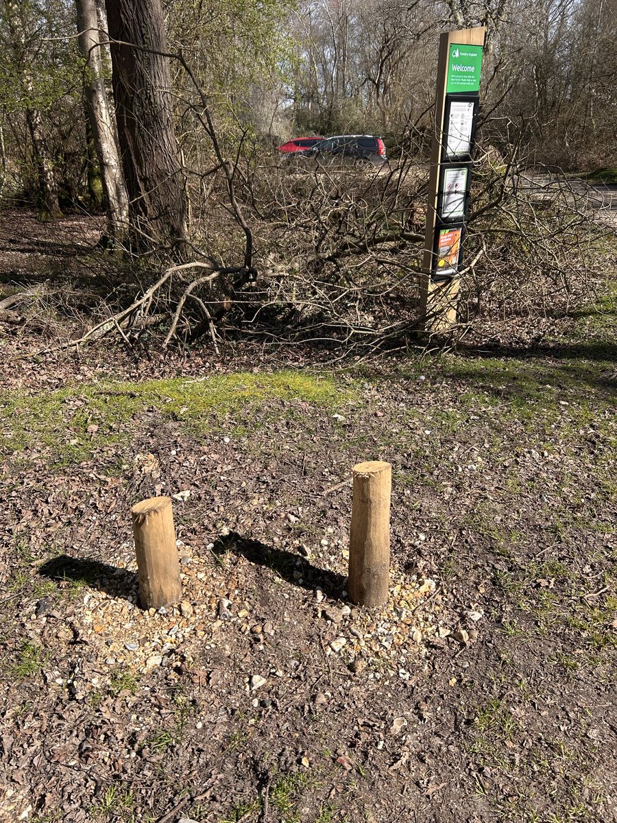 Susan Freeman tweet media