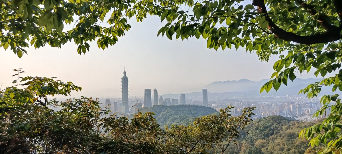 Memocode tweet media