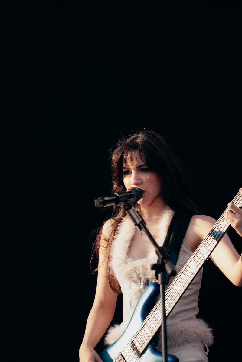 acervo alejandra villarreal tweet media