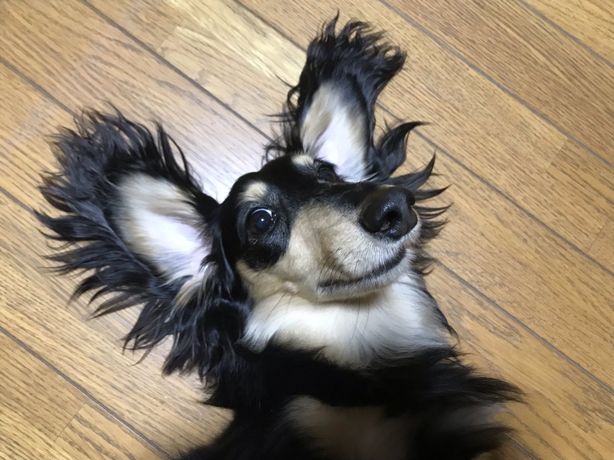 フィッシング  スポーツ  なかにし tweet media