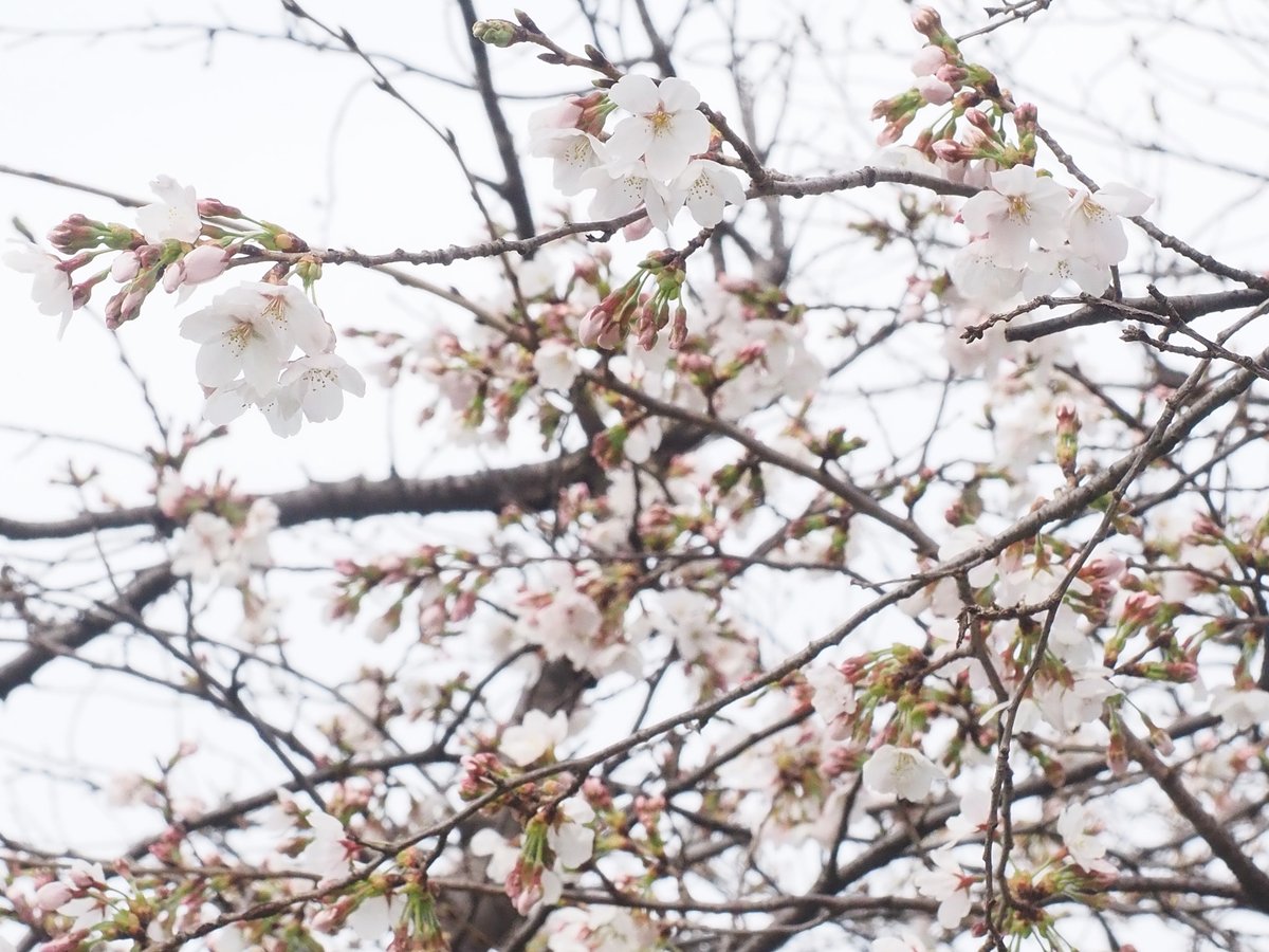 take@イベント参加メインで活動します。多忙のためスタジオのお誘いはお受けしていません。 tweet media