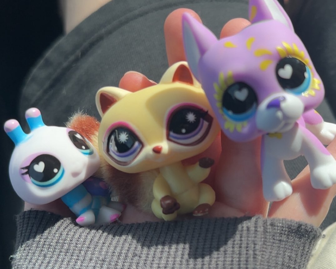 Mikey ₍ᐢ. ̫ .ᐢ₎ tweet media