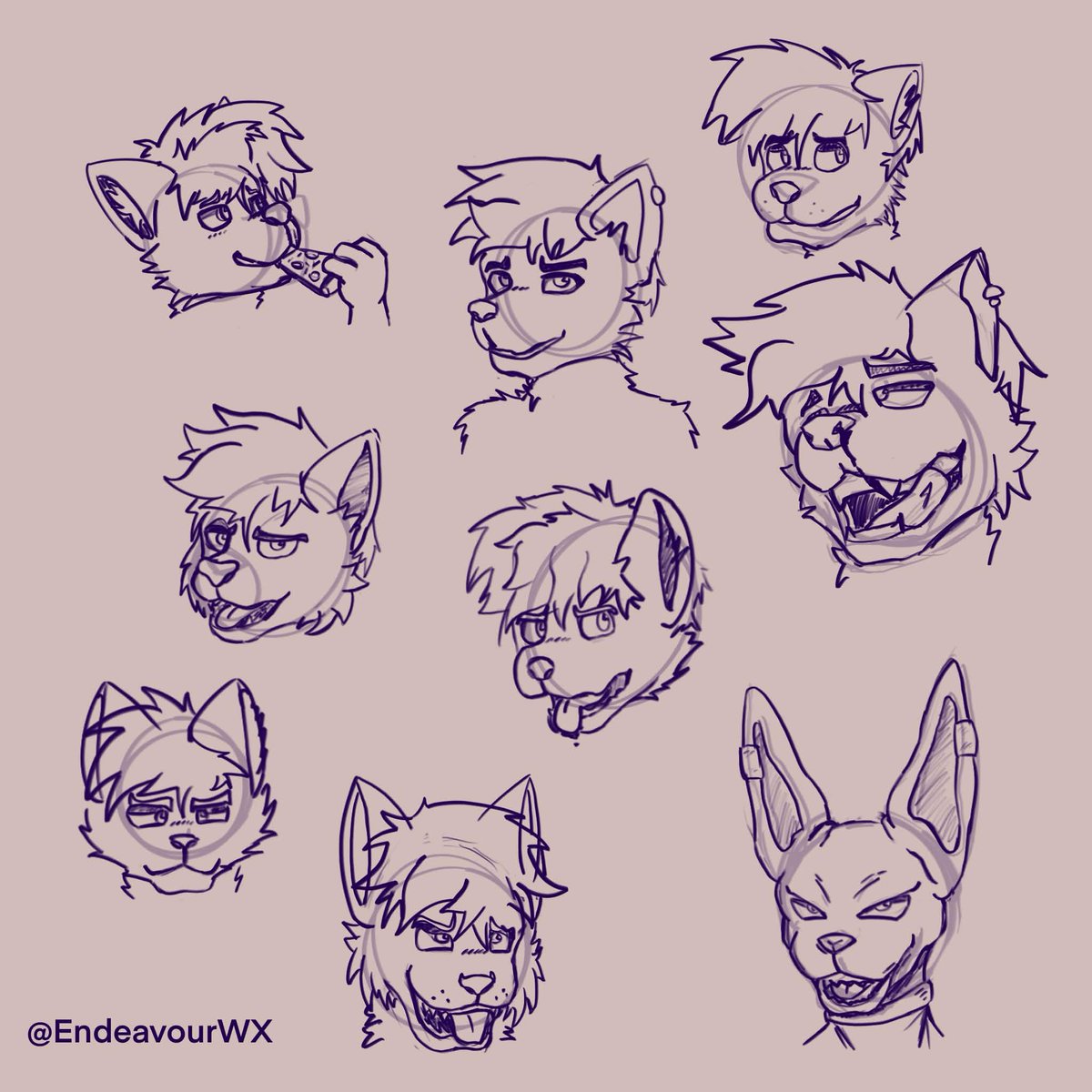 Weather 💜 tweet media