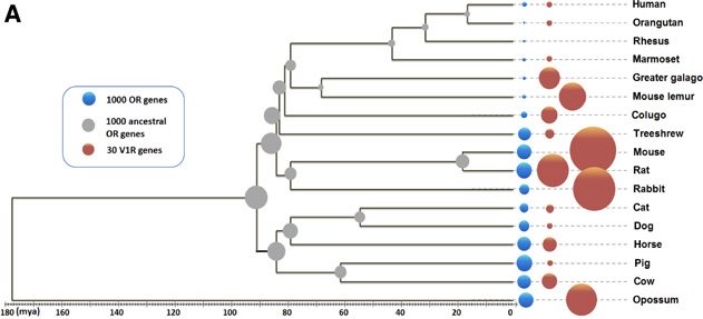 Zeke Darwin tweet media