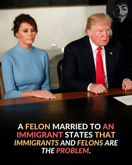 dave lawrence 🐟🐟🐠 tweet media