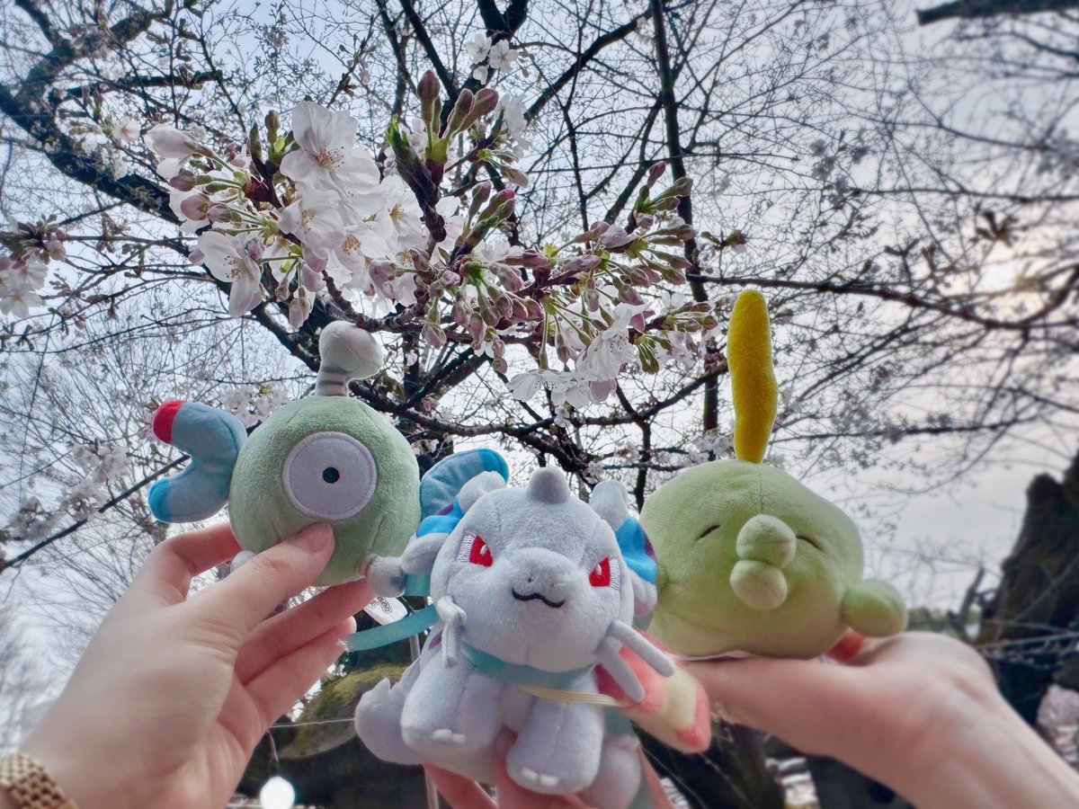 み(ちゃんまり) tweet media