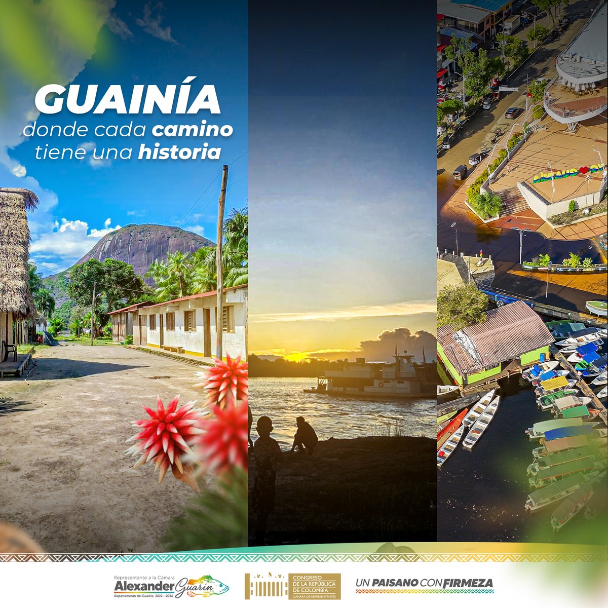 Alexander Guarín Silva tweet media