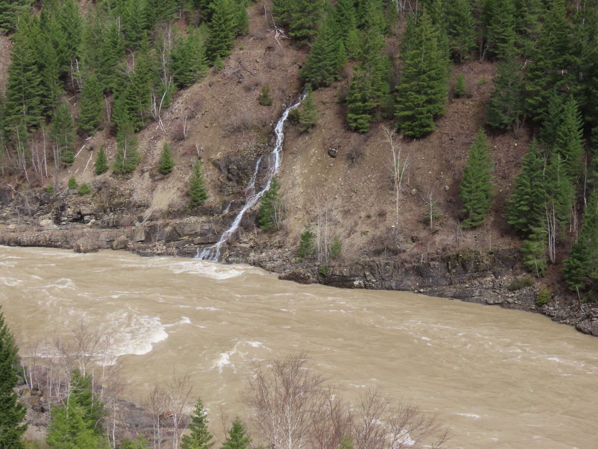 FACAvalanche tweet picture