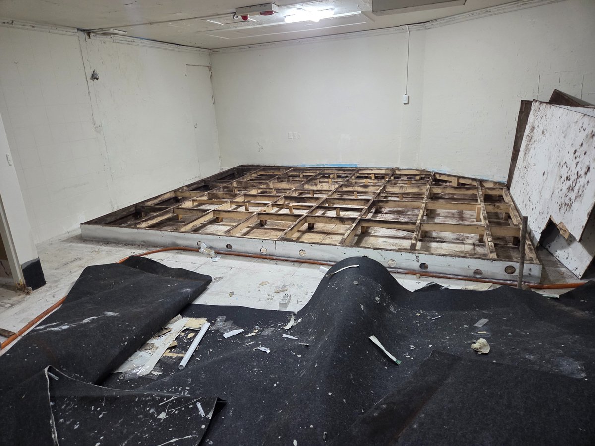 Wolfe K.Shephard tweet media