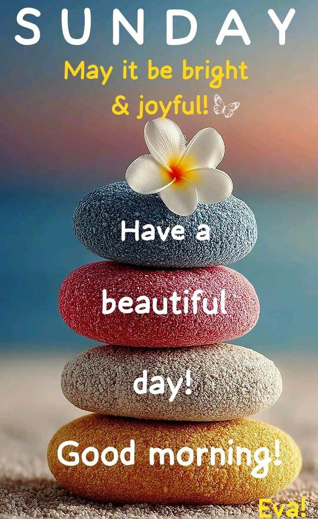 Mister Gadget tweet media