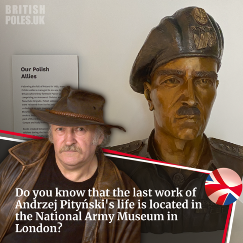 British Poles tweet media