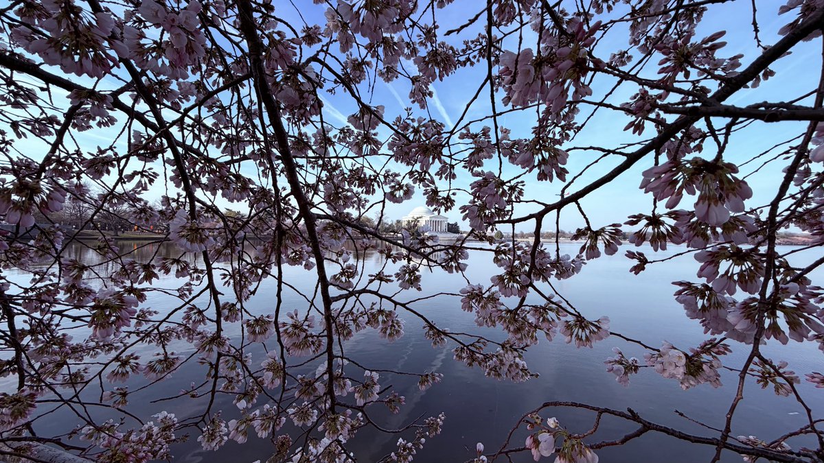 Matthew Henry tweet media