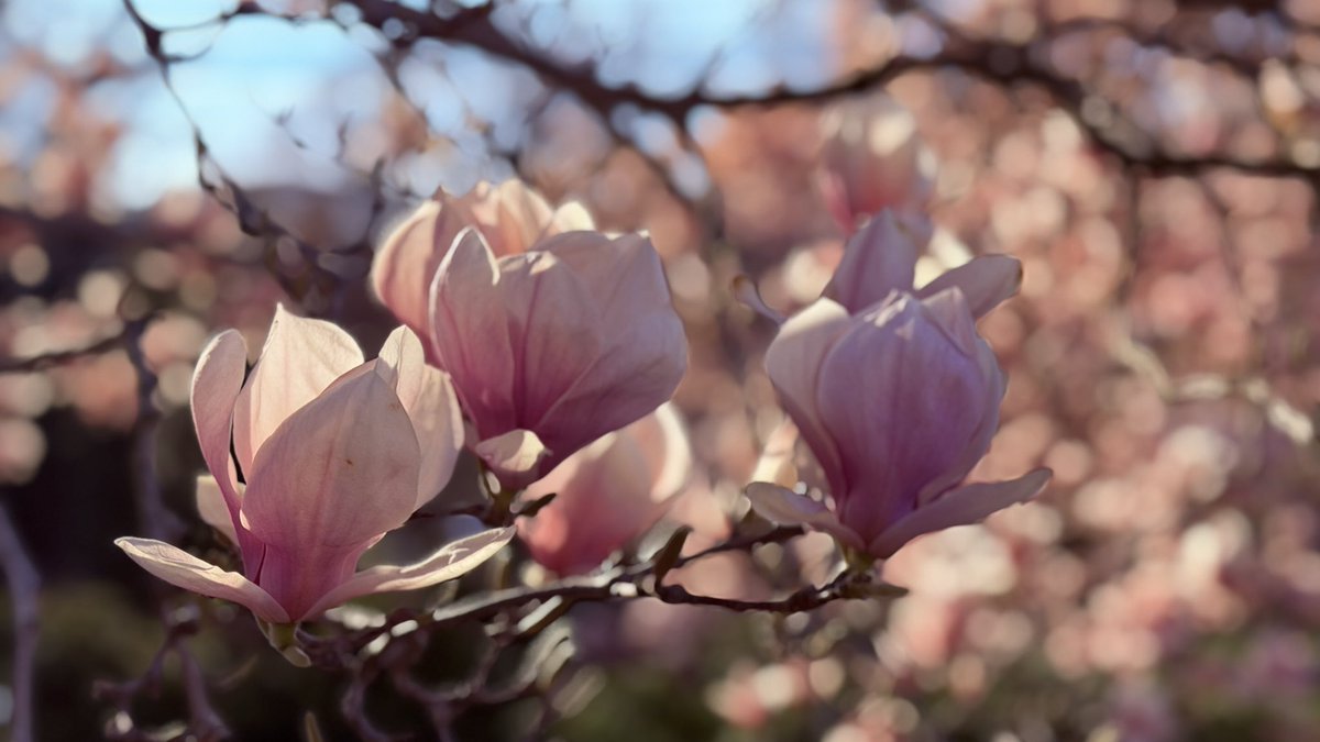 Matthew Henry tweet media