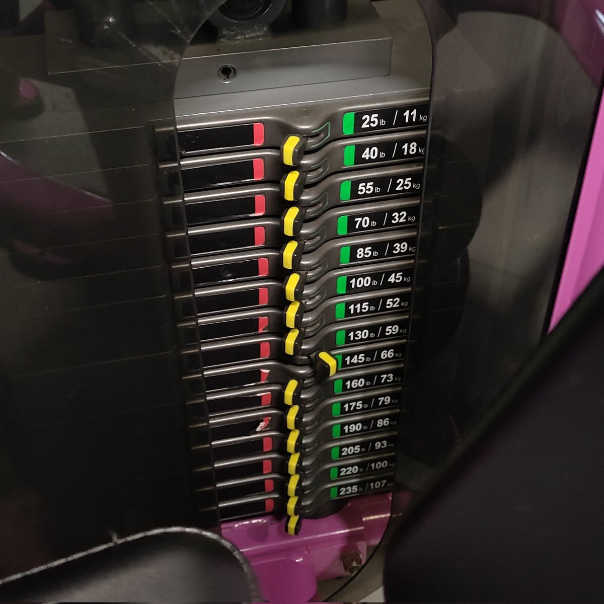 irys ꏍ bird oomf tweet media