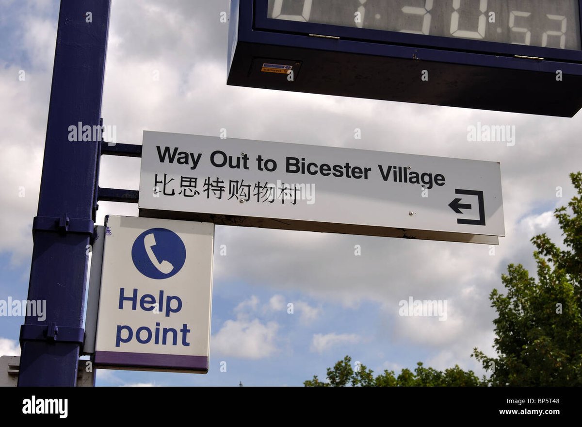 Miranda Grell tweet media