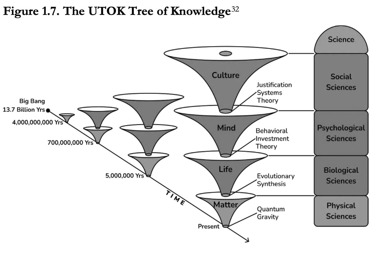 Anna Riedl tweet media