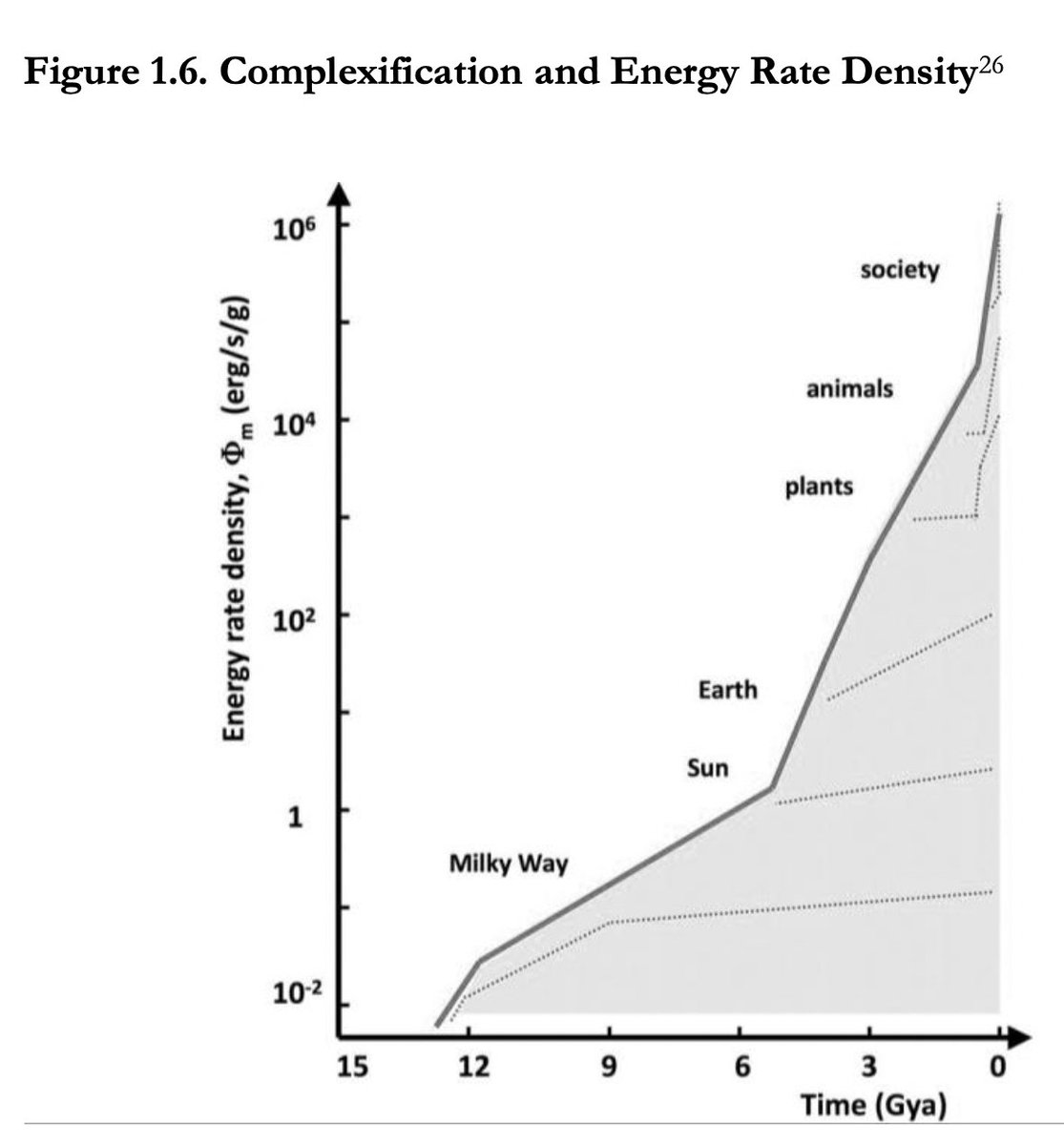 Anna Riedl tweet media