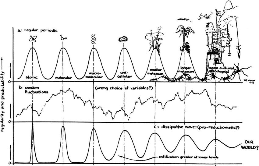 Anna Riedl tweet media