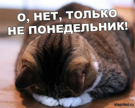 "Хейтер" tweet media